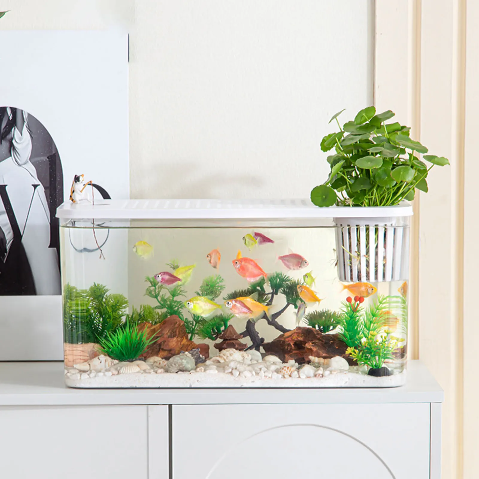 Terrarium d'élevage à vue dégagée pour reptiles – Image 4