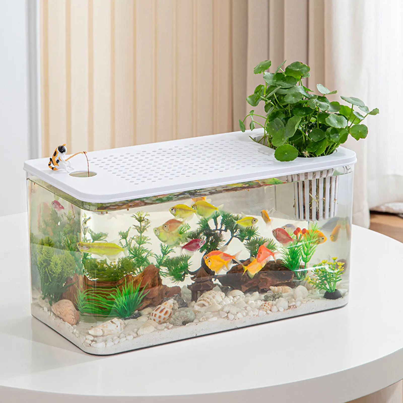 Terrarium d'élevage à vue dégagée pour reptiles – Image 2