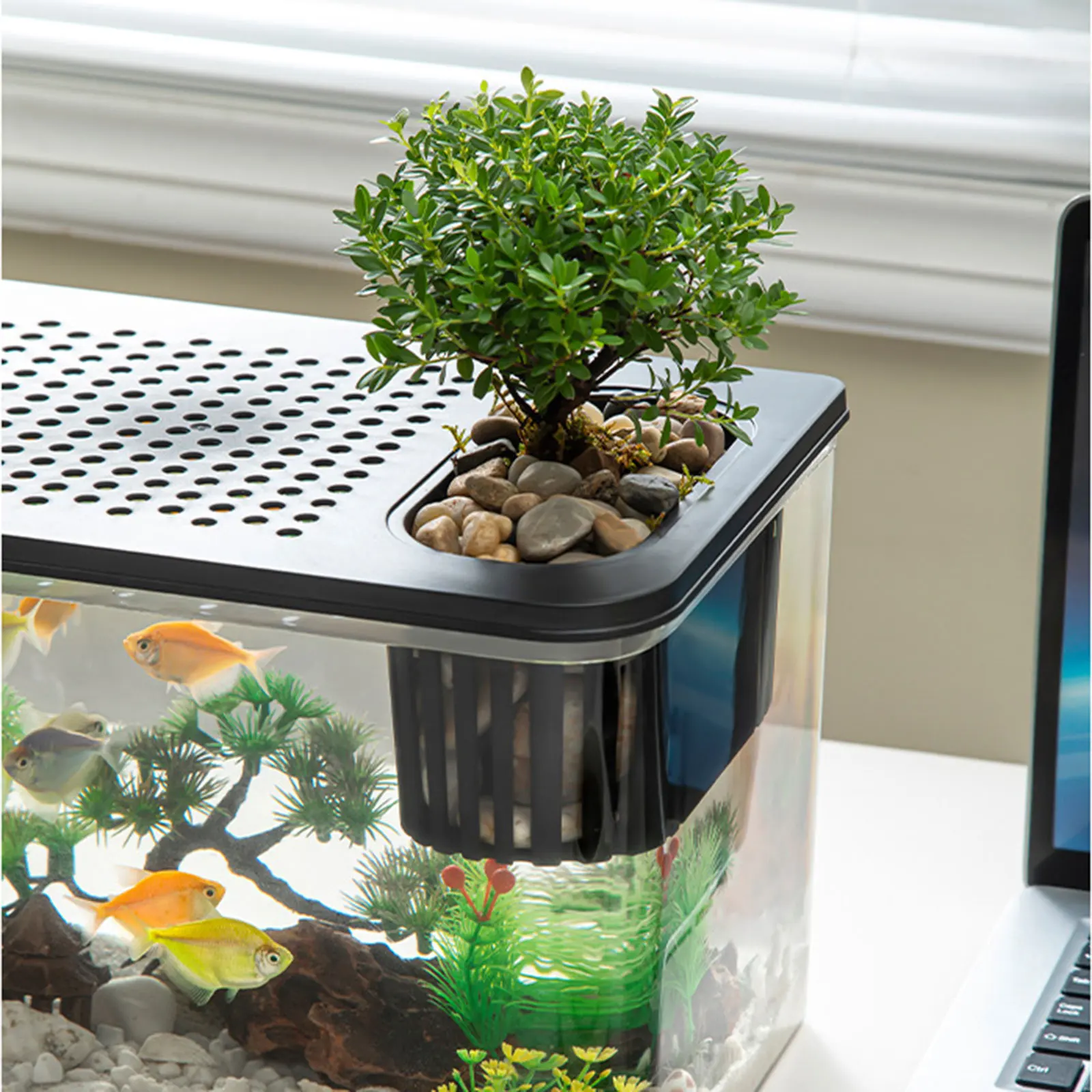 Terrarium d'élevage à vue dégagée pour reptiles – Image 3