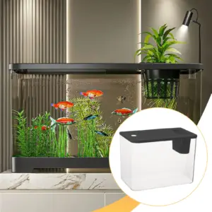 Terrarium d'élevage à vue dégagée pour reptiles