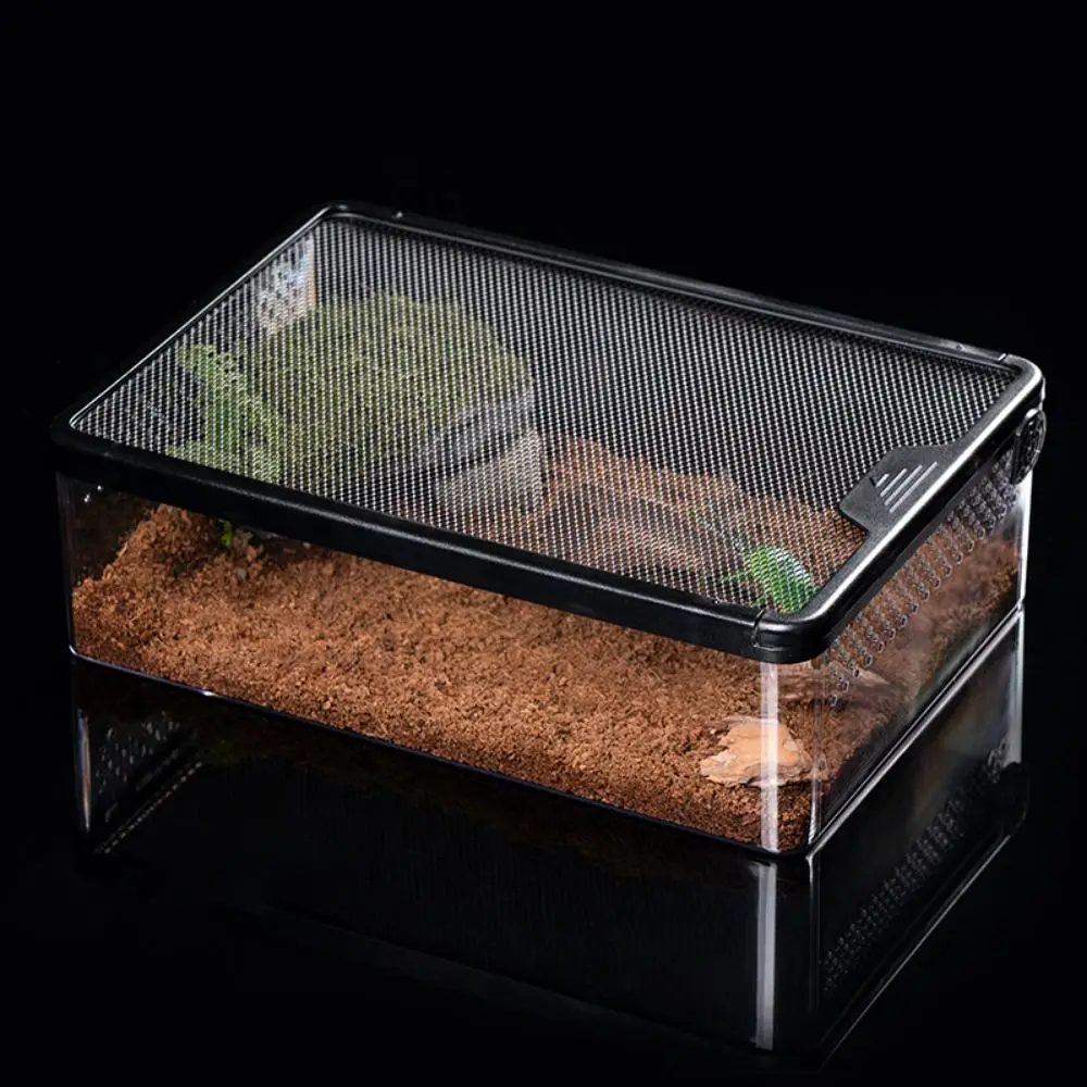 Boîte d'élevage acrylique étanche pour reptiles – Image 3