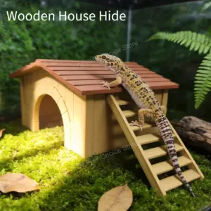 Cabane cachette pour reptiles avec échelle amovible