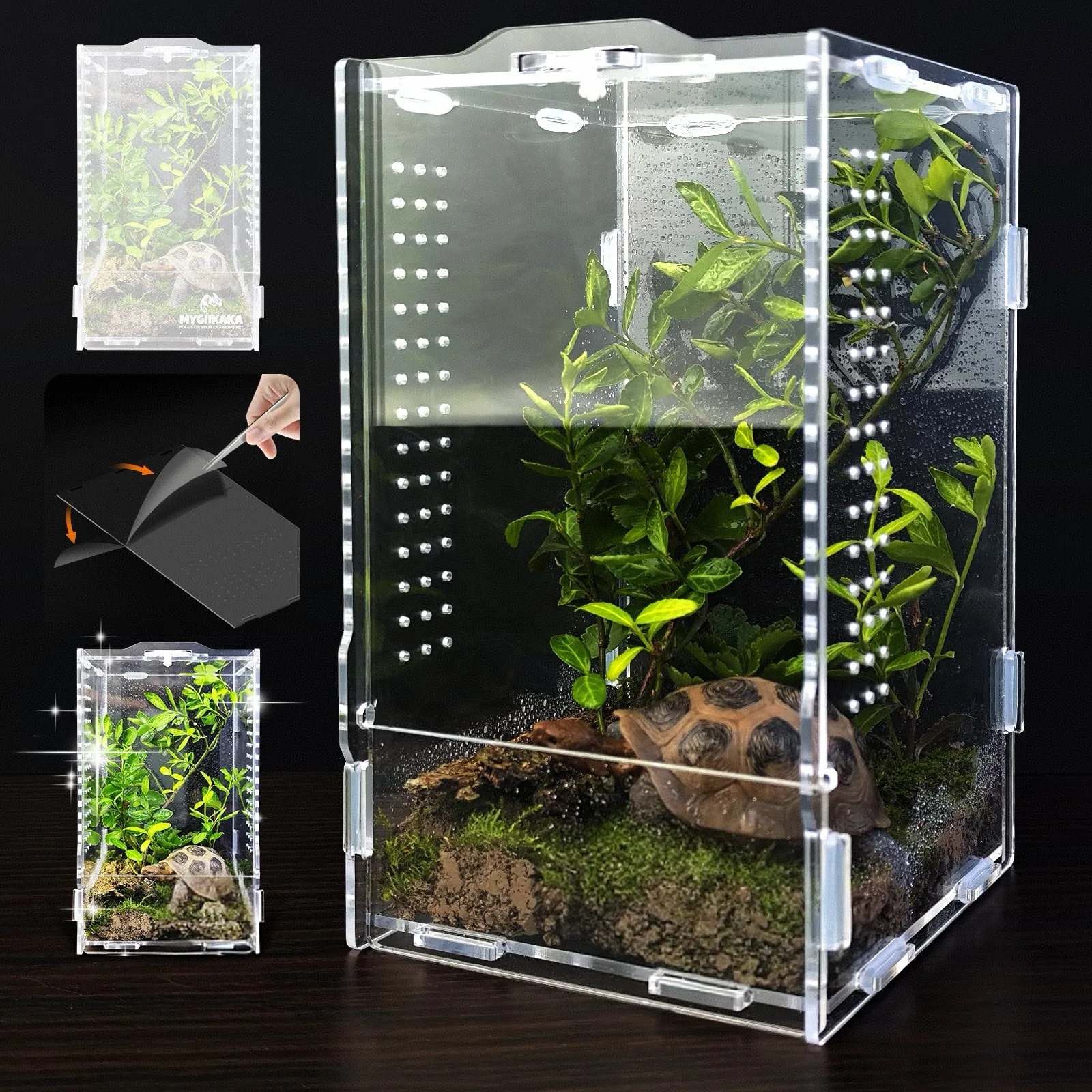 Mini terrarium acrylique ventilé pour petits reptiles