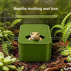 Cachette humide pour la mue des reptiles