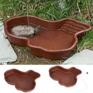 Bassin de bain pour tortue avec rampe et terrasse