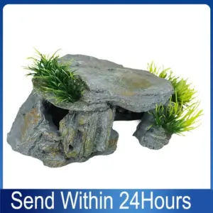Caverne rocheuse avec plateforme de chauffe pour reptile