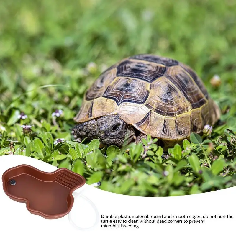 Bassin de bain pour tortue avec rampe et terrasse – Image 3