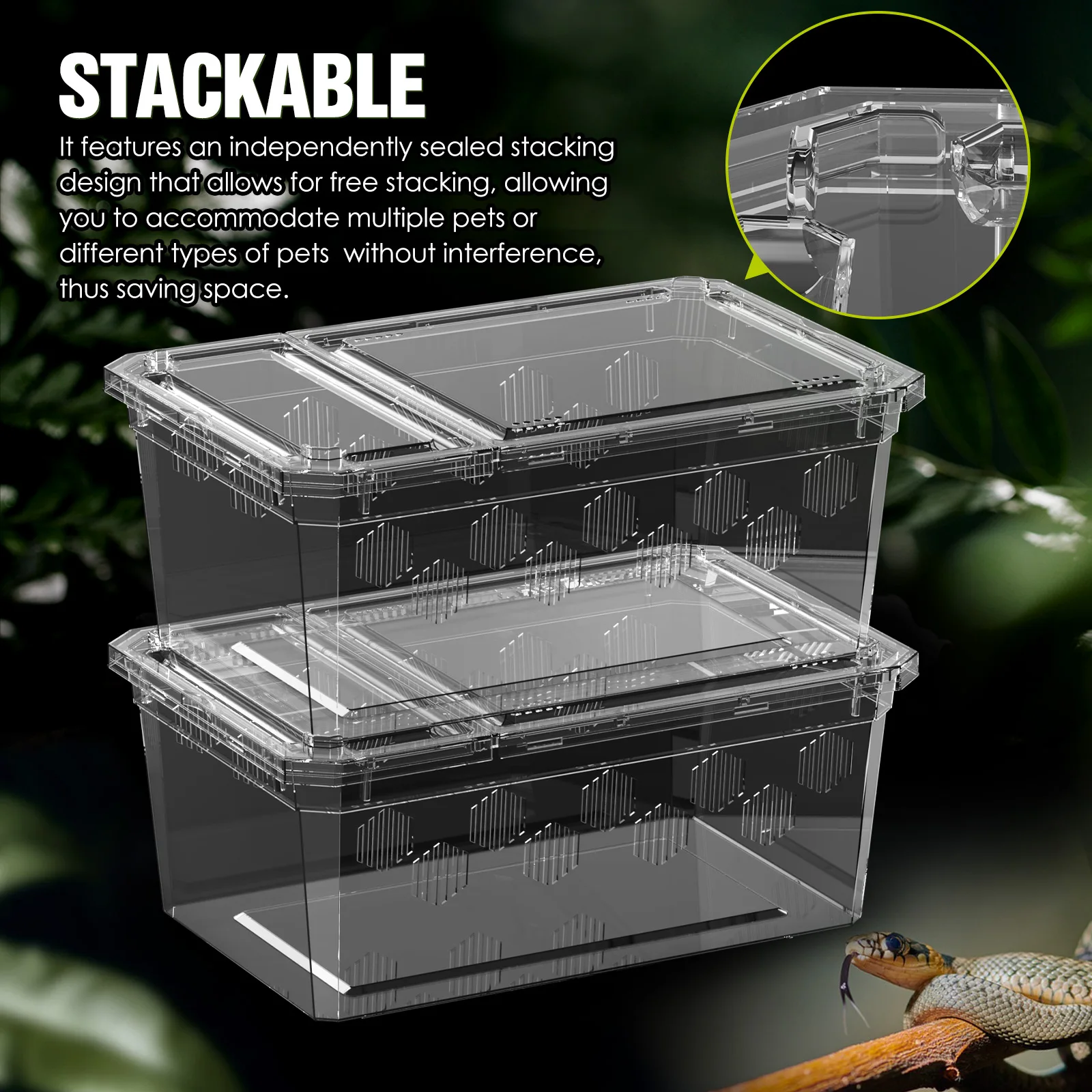 Lot de 4 boîtes de transport pour reptiles – Image 4