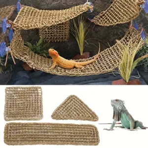 Hamac chaise longue pour lézard, gecko et serpent
