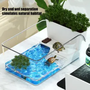 Bac à tortues avec zone de repos et paroi transparente
