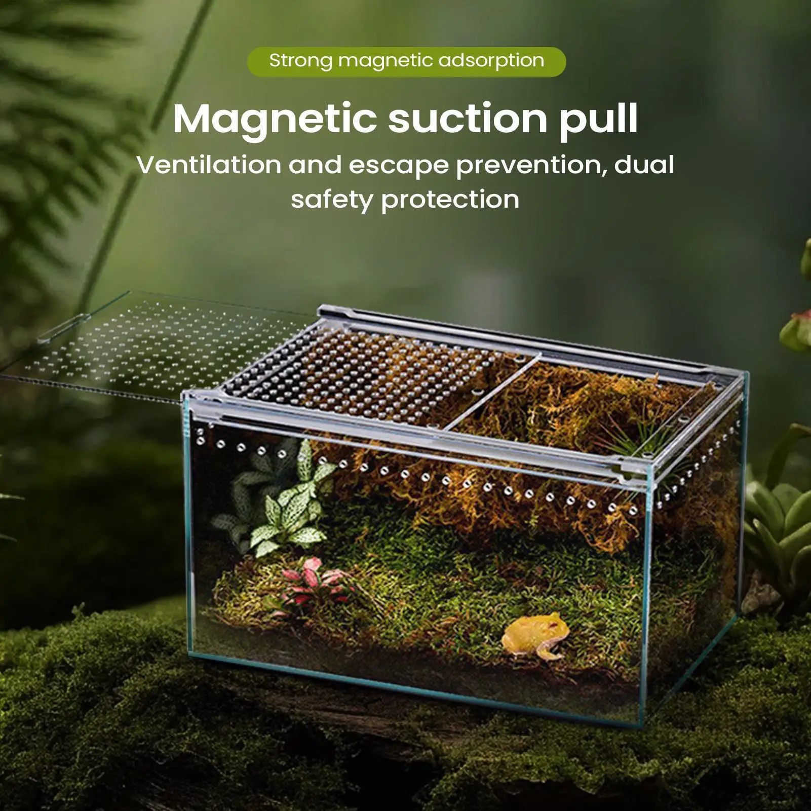 Terrarium ventilé transparent pour mygales et araignées – Image 2