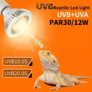 Ampoule UVA/UVB 10.0/20.0 chauffante pour reptiles