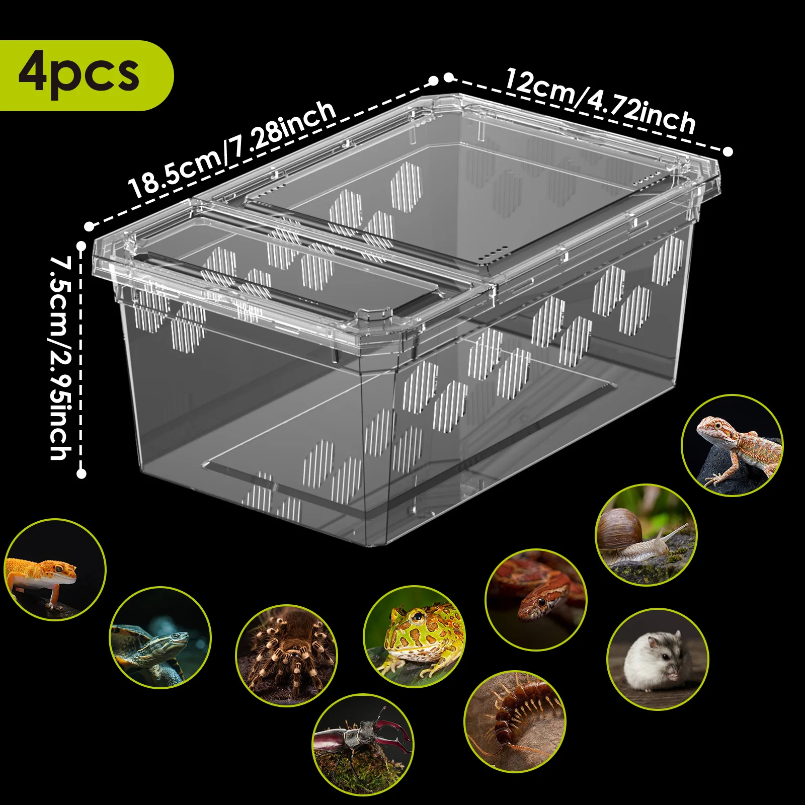 Lot de 4 boîtes de transport pour reptiles – Image 2