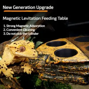 Mangeoire magnétique pour reptiles