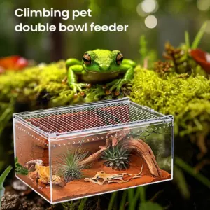 Terrarium ventilé transparent pour mygales et araignées