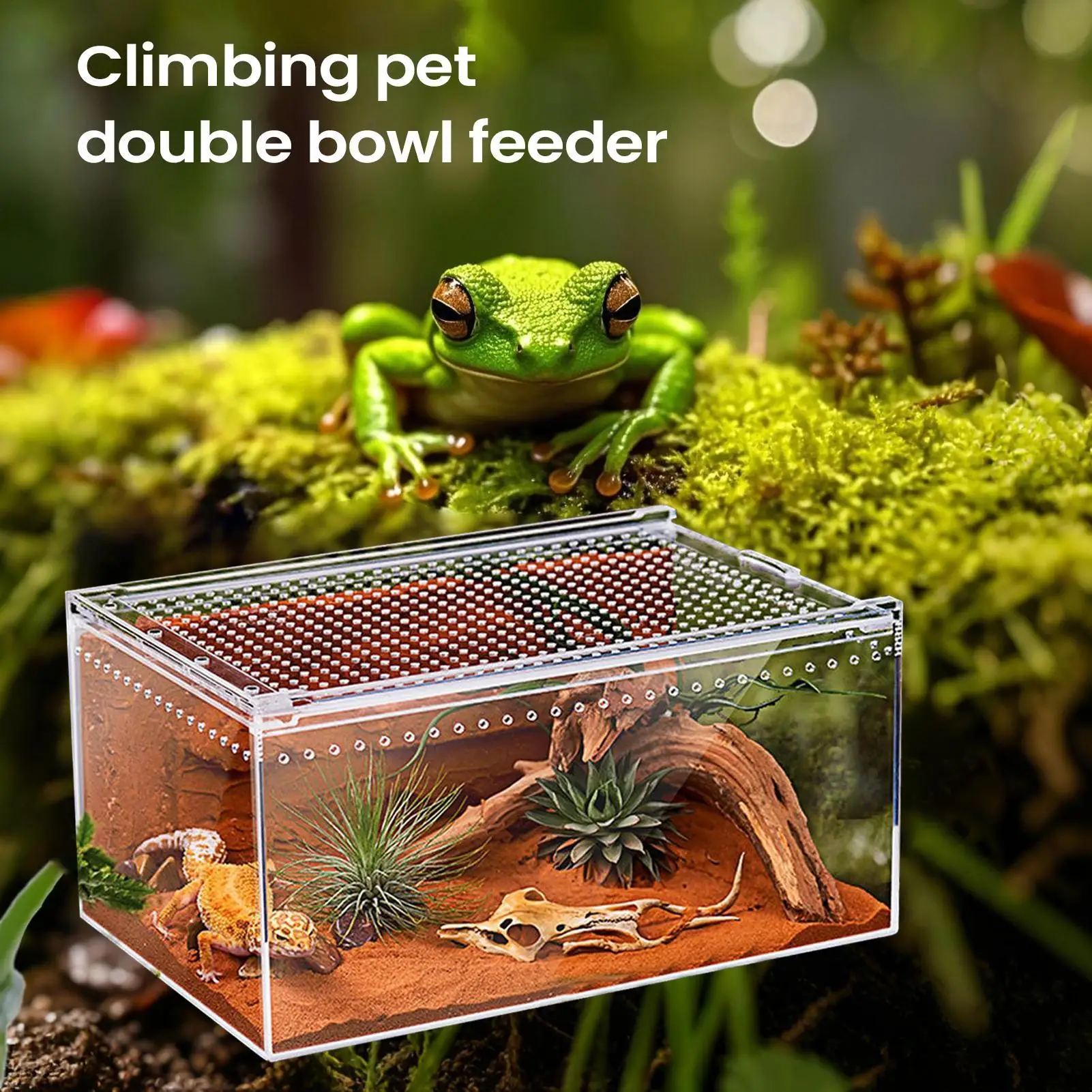 Terrarium ventilé transparent pour mygales et araignées