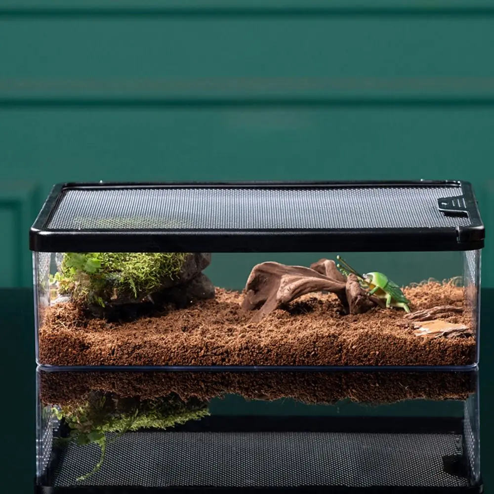 Boîte d'élevage acrylique étanche pour reptiles – Image 2